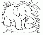 elephant qui se promene dessin à colorier