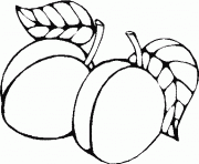 2 prunes fruit dessin à colorier