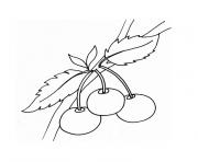 Coloriage fruits dessin de trois cerises dessin