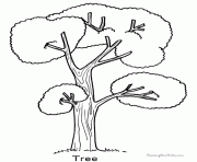 Coloriage arbre sans feuilles dessin