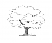 Coloriage Cindy Bear et Yogi sous un arbre dessin