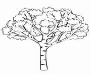 Coloriage arbre 5