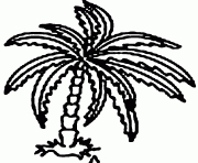palmier dessin à colorier