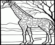 girafe et arbre dessin à colorier