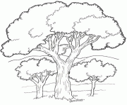 Coloriage arbre 9 dessin