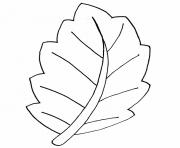 Coloriage palmier avec 4 branches dessin