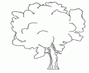 Coloriage arbre 16 dessin