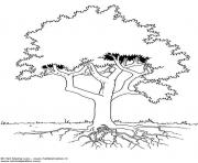 Coloriage arbre 5 dessin