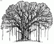 arbre 164 dessin à colorier