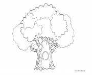 Coloriage arbre sans feuilles dessin
