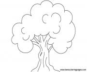arbre 93 dessin à colorier