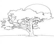 arbre 6 dessin à colorier