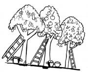 Coloriage trois arbres dessin