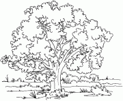 arbre dans une prairie dessin à colorier