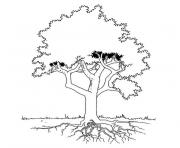 Coloriage arbre 46 dessin