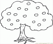 arbre 136 dessin à colorier