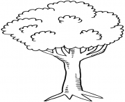 Coloriage arbre 5 dessin