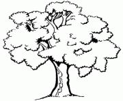 Coloriage arbre 123 dessin