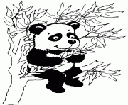 panda dans un arbre dessin à colorier