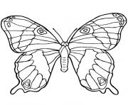 papillon dessin à colorier
