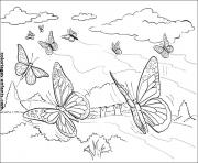 Coloriage adulte difficile grand papillon dessin