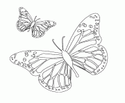 papillon 36 dessin à colorier