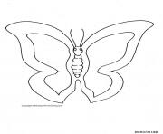 papillon 299 dessin à colorier
