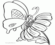 Coloriage fleurs papillon dessin