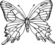 papillon 22 dessin à colorier