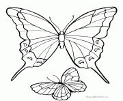 Coloriage papillon vue de dessus dessin