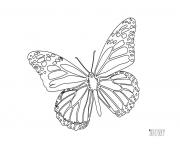 papillon 135 dessin à colorier