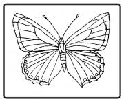 papillon 2 dessin à colorier
