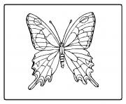 Coloriage fleur papillon dessin