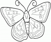 Coloriage papillon vue de dessus 3 dessin