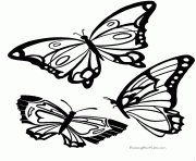 Coloriage papillon 25 dessin