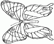 papillon 59 dessin à colorier