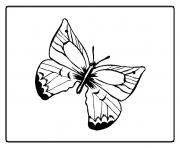 papillon 45 dessin à colorier