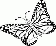 papillon 76 dessin à colorier