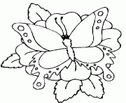 papillon sur 1 fleur dessin à colorier