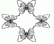 Coloriage papillon vue de dessus dessin