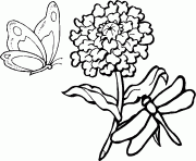 une libellule et un papillon volent autour d une fleur dessin à colorier