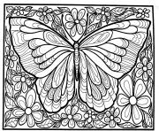 Coloriage papillon fleur dessin