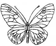 Coloriage papillon 227 dessin