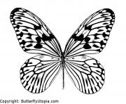 papillon 5 dessin à colorier