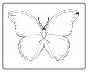 Coloriage papillon fleur dessin