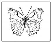 papillon 137 dessin à colorier