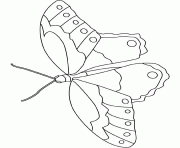 Coloriage papillon vue de dessus 2 dessin