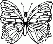 papillon 184 dessin à colorier