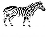 Coloriage zebra facile pour maternelle 3 ans dessin