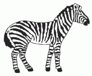 Coloriage zebre un mammifere herbivore ressemblant au cheval dessin